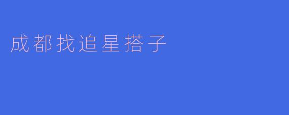 成都找追星搭子