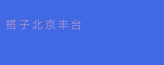 搭子北京丰台