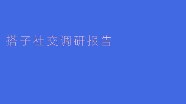 搭子社交调研报告