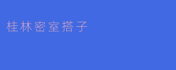 桂林密室搭子