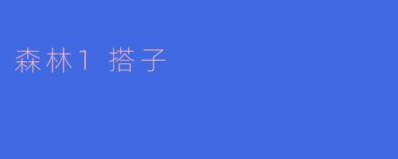 森林1搭子