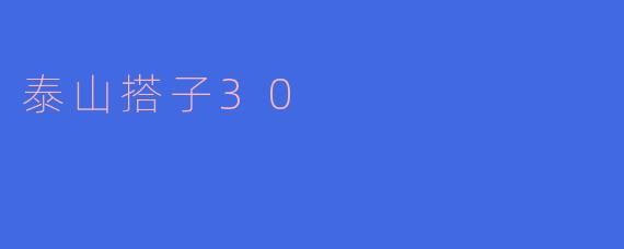 泰山搭子30：探索友谊与共鸣的旅程