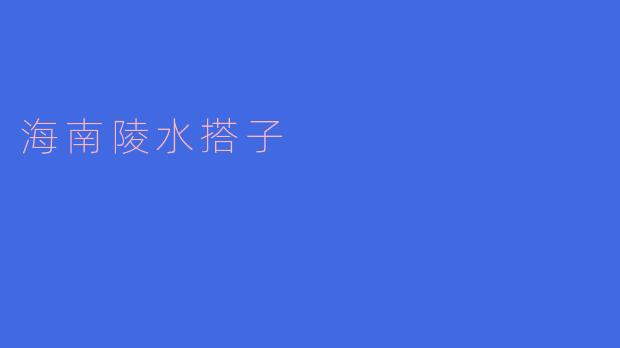 海南陵水搭子是什么?**