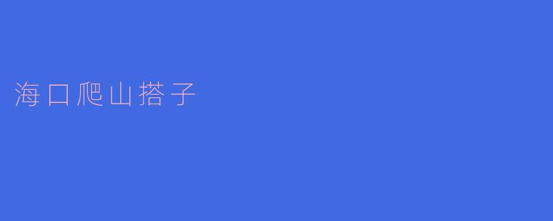 海口爬山搭子一般都是怎样的一群人,他们有什么共同的兴趣?