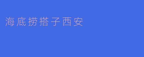 海底捞搭子西安：美食与社交的新融合
