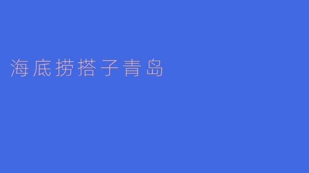### 海底捞搭子青岛：美食与分享的新体验