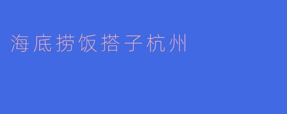 海底捞饭搭子杭州