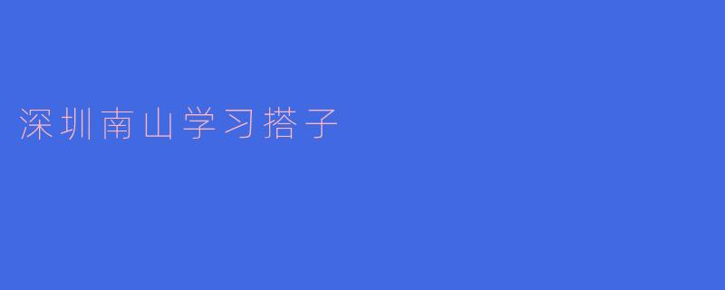 深圳南山学习搭子