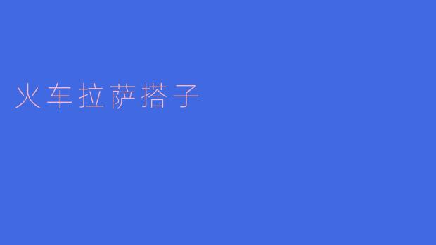 火车拉萨搭子