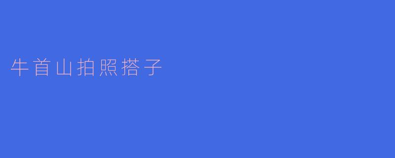 牛首山拍照搭子