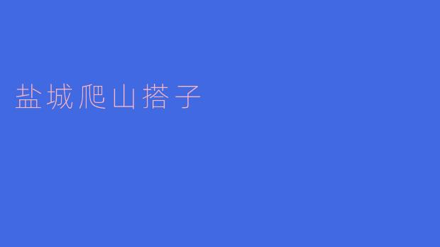 盐城爬山搭子是一个怎样的活动?