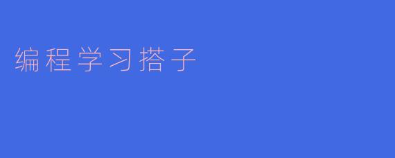 什么是“编程学习搭子”？**