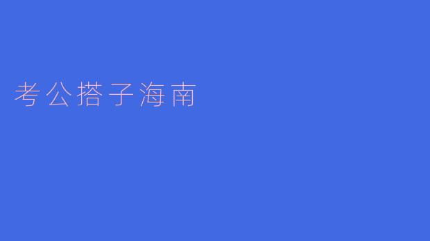 考公搭子海南：梦想起航的热土