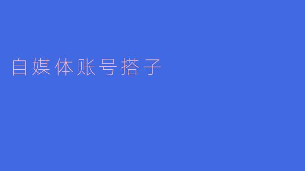 自媒体账号搭子:新时代内容创作的合作伙伴