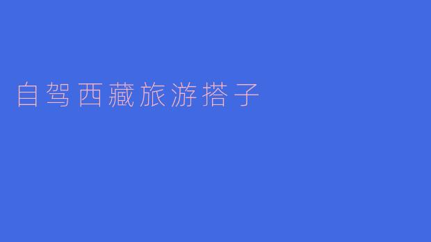 自驾西藏旅游搭子