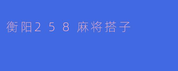 衡阳258麻将搭子的魅力与文化