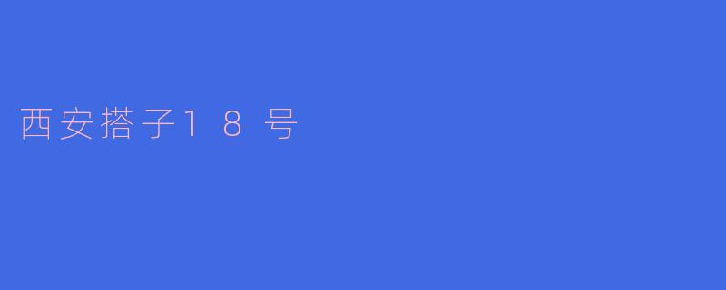 西安搭子18号是什么？****