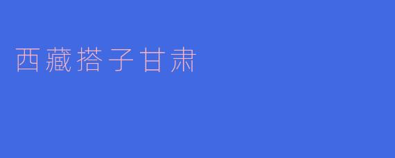西藏搭子甘肃