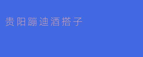 ### 贵阳蹦迪酒搭子：夜生活的新宠