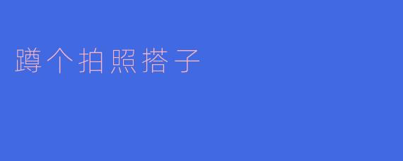 蹲个拍照搭子