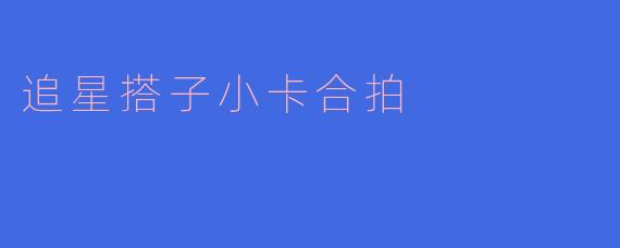 追星搭子小卡合拍