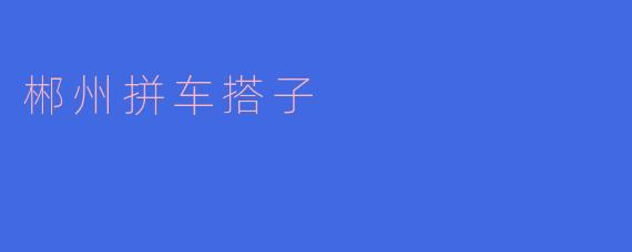 郴州拼车搭子是什么?**