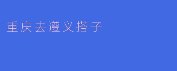 ### 重庆至遵义的美好搭子之旅
