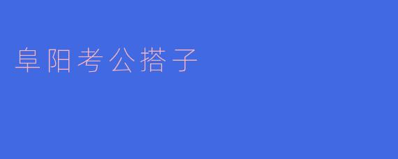 阜阳考公搭子