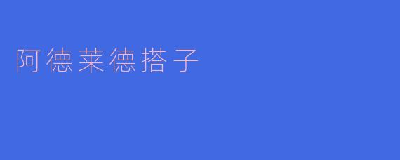 阿德莱德搭子
