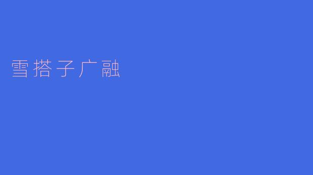 什么是“雪搭子广融”？