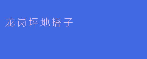 龙岗坪地搭子是什么样的地方，有什么特色？