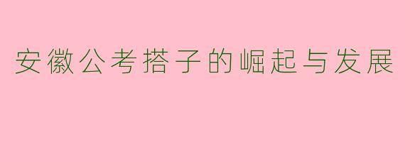 安徽公考搭子的崛起与发展