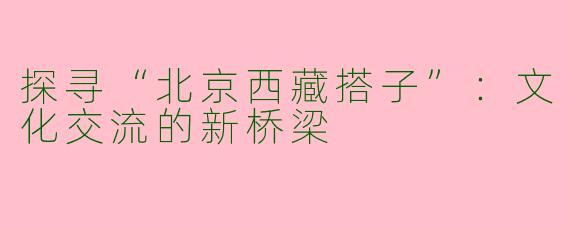 探寻“北京西藏搭子”：文化交流的新桥梁