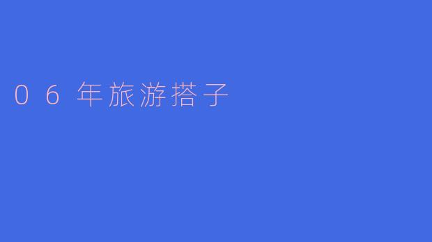 06年旅游搭子