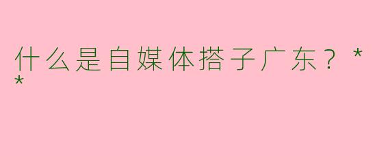 什么是自媒体搭子广东？**