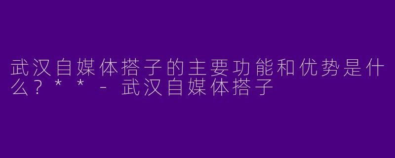 武汉自媒体搭子的主要功能和优势是什么？**