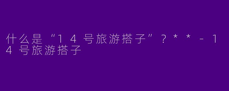 什么是“14号旅游搭子”？**