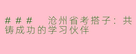 ### 沧州省考搭子：共铸成功的学习伙伴