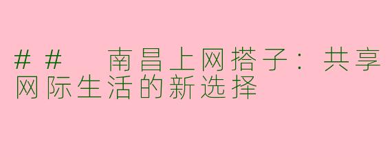 ## 南昌上网搭子：共享网际生活的新选择
