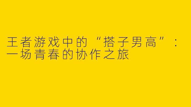 王者游戏中的“搭子男高”：一场青春的协作之旅