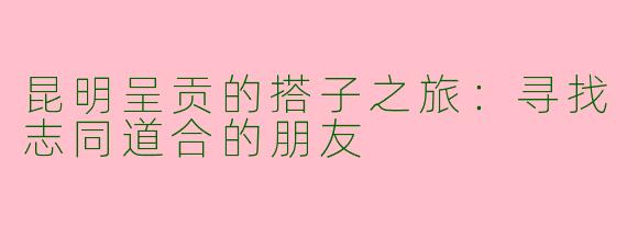 昆明呈贡的搭子之旅：寻找志同道合的朋友