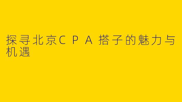 探寻北京CPA搭子的魅力与机遇