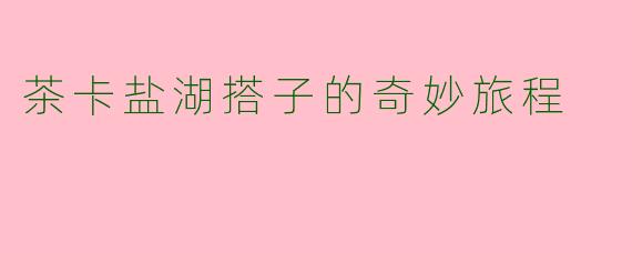 茶卡盐湖搭子的奇妙旅程