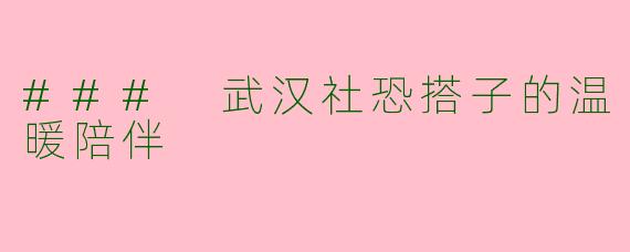 ### 武汉社恐搭子的温暖陪伴