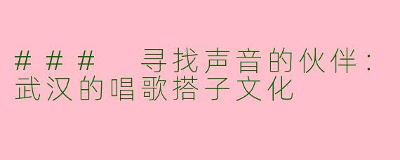 ### 寻找声音的伙伴：武汉的唱歌搭子文化
