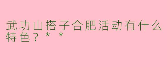 武功山搭子合肥活动有什么特色？**