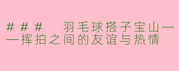 ### 羽毛球搭子宝山——挥拍之间的友谊与热情