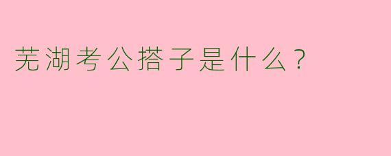 芜湖考公搭子是什么？
