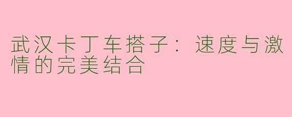 武汉卡丁车搭子：速度与激情的完美结合