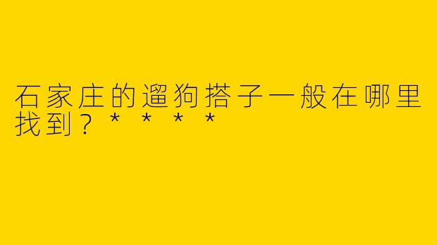 石家庄的遛狗搭子一般在哪里找到？****